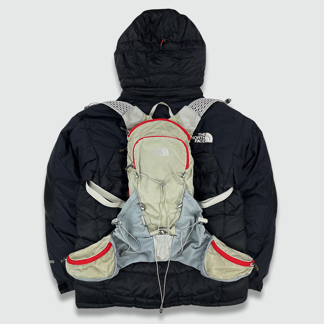 North Face 'Martin Wing 10' Backpack
